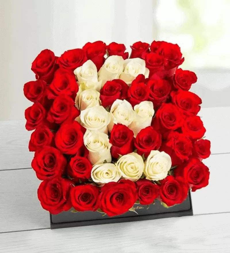 Kutuda Özel Kırmızı Beyaz Harfli Güller