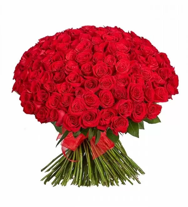 Seni Seviyorum 250 Kırmızı Gül Buketi